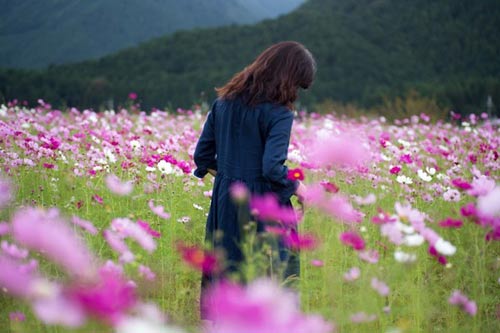 Tìm thuê dịch vụ thám tử xác minh địa chỉ, xác minh hồ sơ lý lịch uy tín bảo mật hàng đầu tại Việt Nam